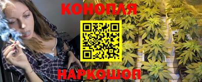 бошки Брянск