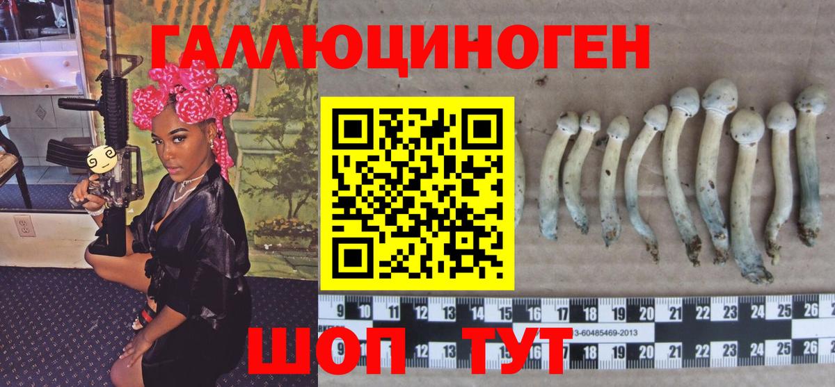Галлюциногенные грибы Magic Shrooms  Вход с VPN  Дербент 