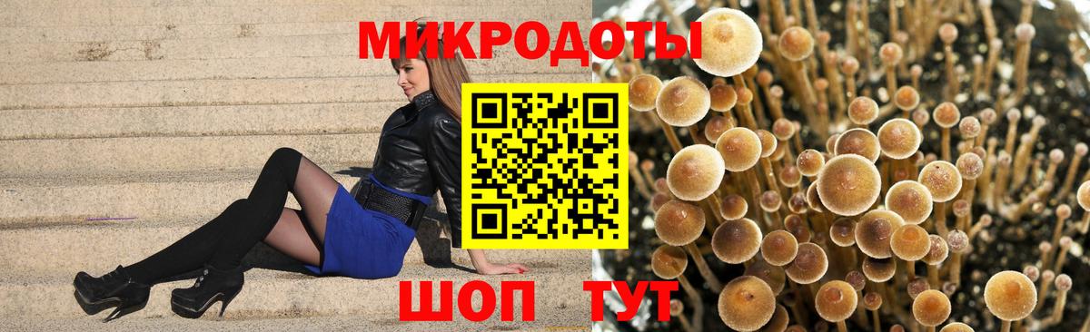 Псилоцибиновые грибы мицелий Дербент